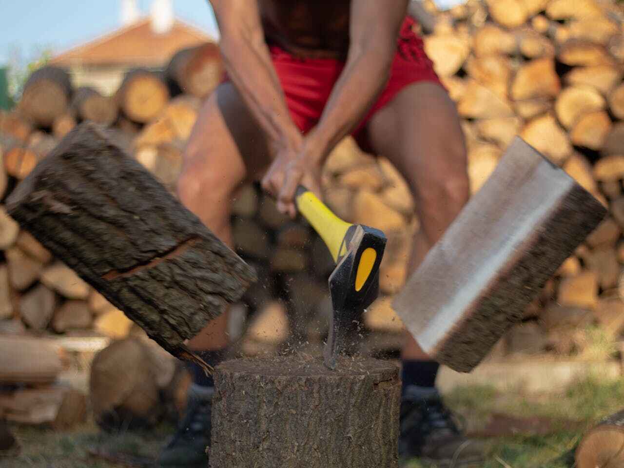 The Steps Involved in Our Tree Care Process in Rosebud, TX